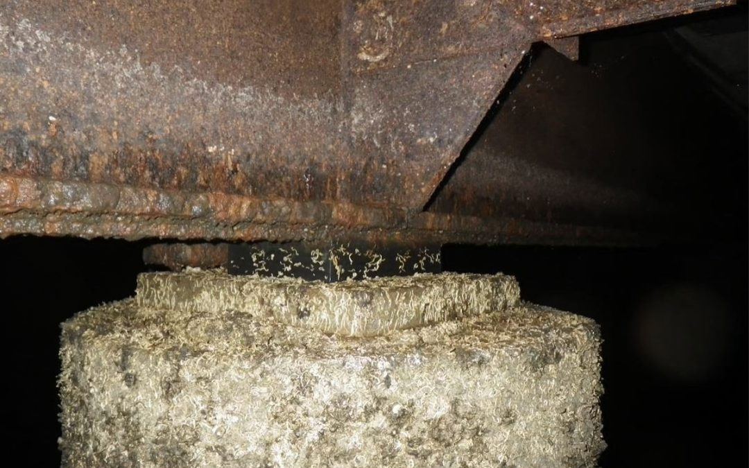 Dry Dock Inspection — Beams, Bearings & Soffits